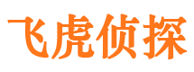 伊川寻人公司